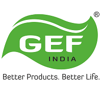 Gemini Logo