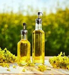 Crude Degummed Rapeseed / Canola Oil of Edible Grade in Bulk
