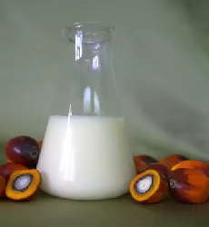 Crude Palm Kernel Stearin (Edible Grade)